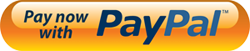 PayPal PayNow Button300