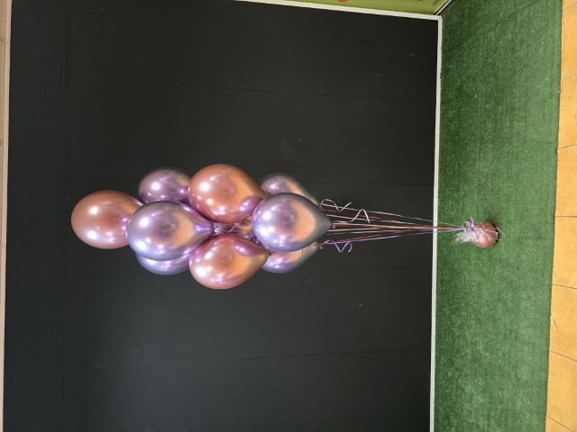 20251216_124553 (Small)